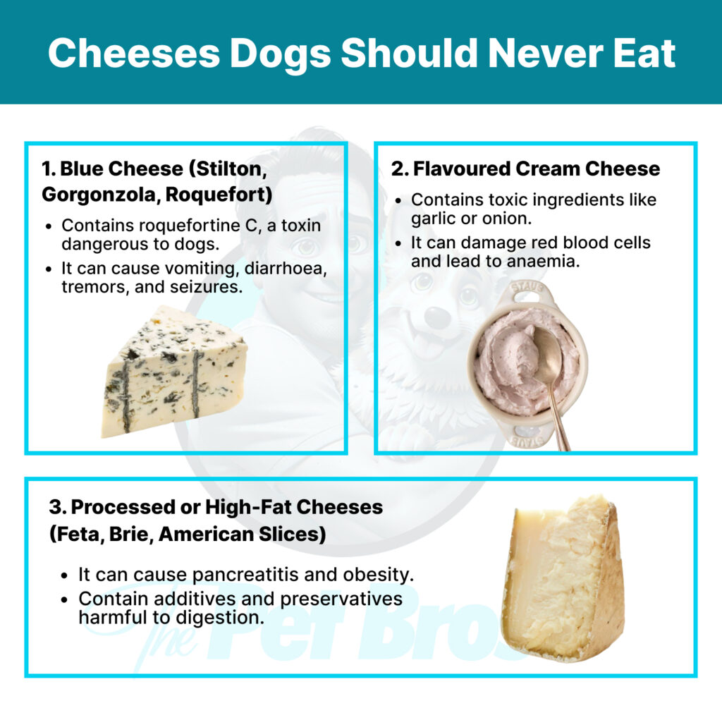 Cheeses Dogs Should Never Eat
