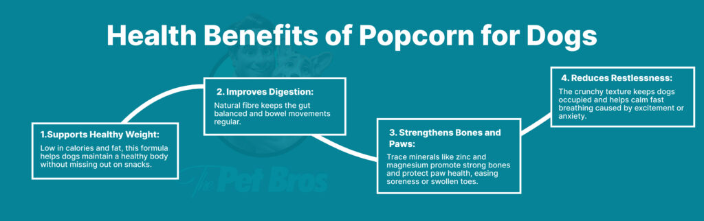 Health Benefits of Popcorn for Dogs