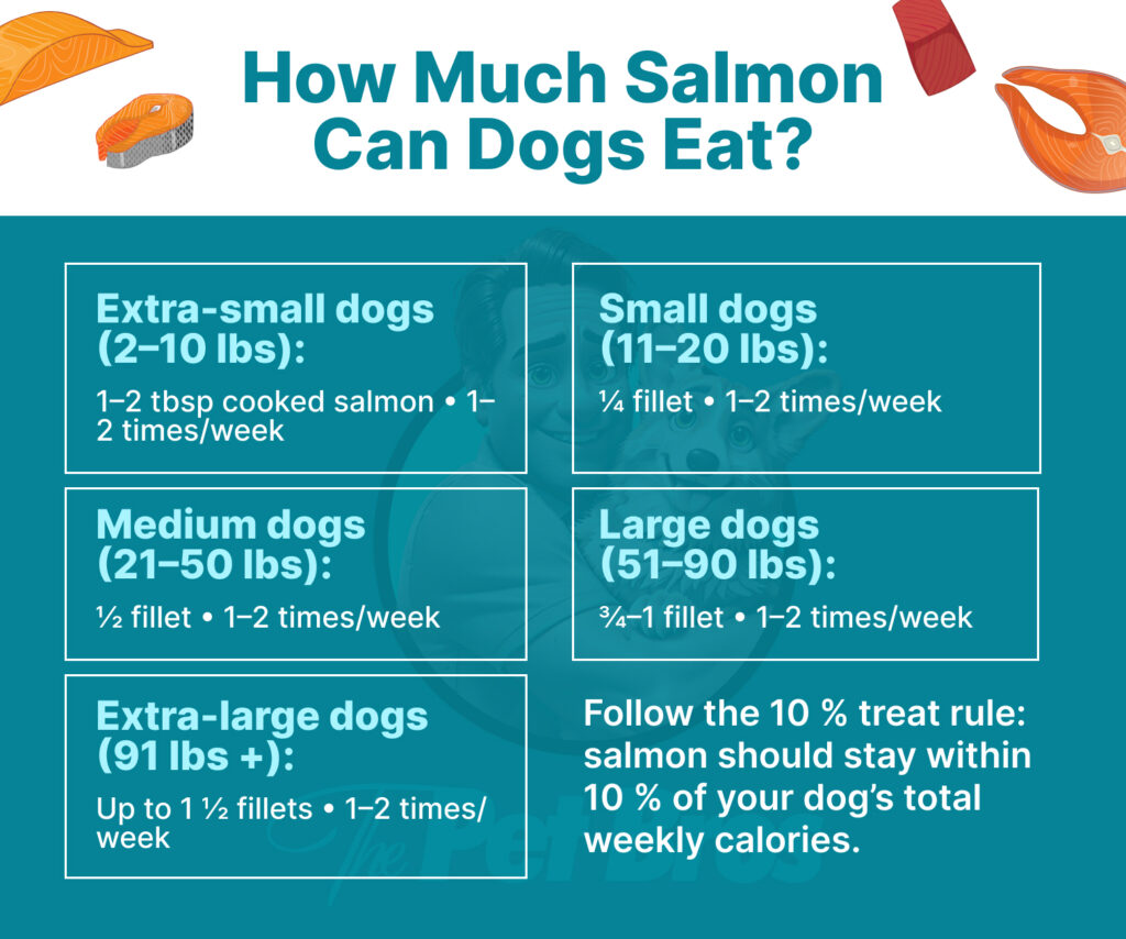 How Much Salmon Can Dogs Eat?