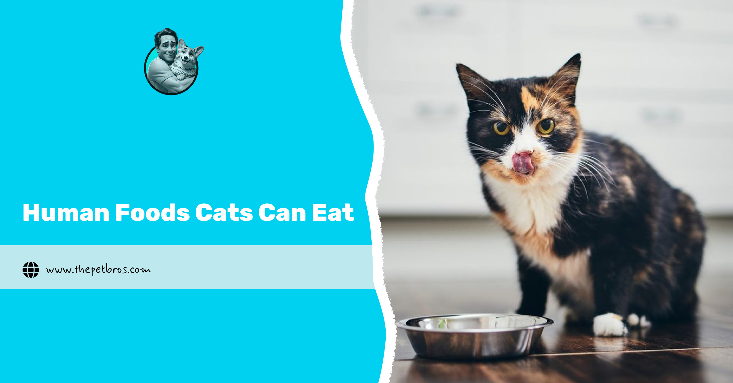 Human Foods Cats Can Eat