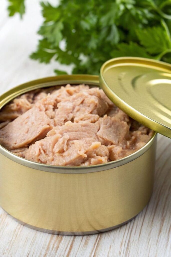 Can dogs eat fish? Yes, they can eat tuna