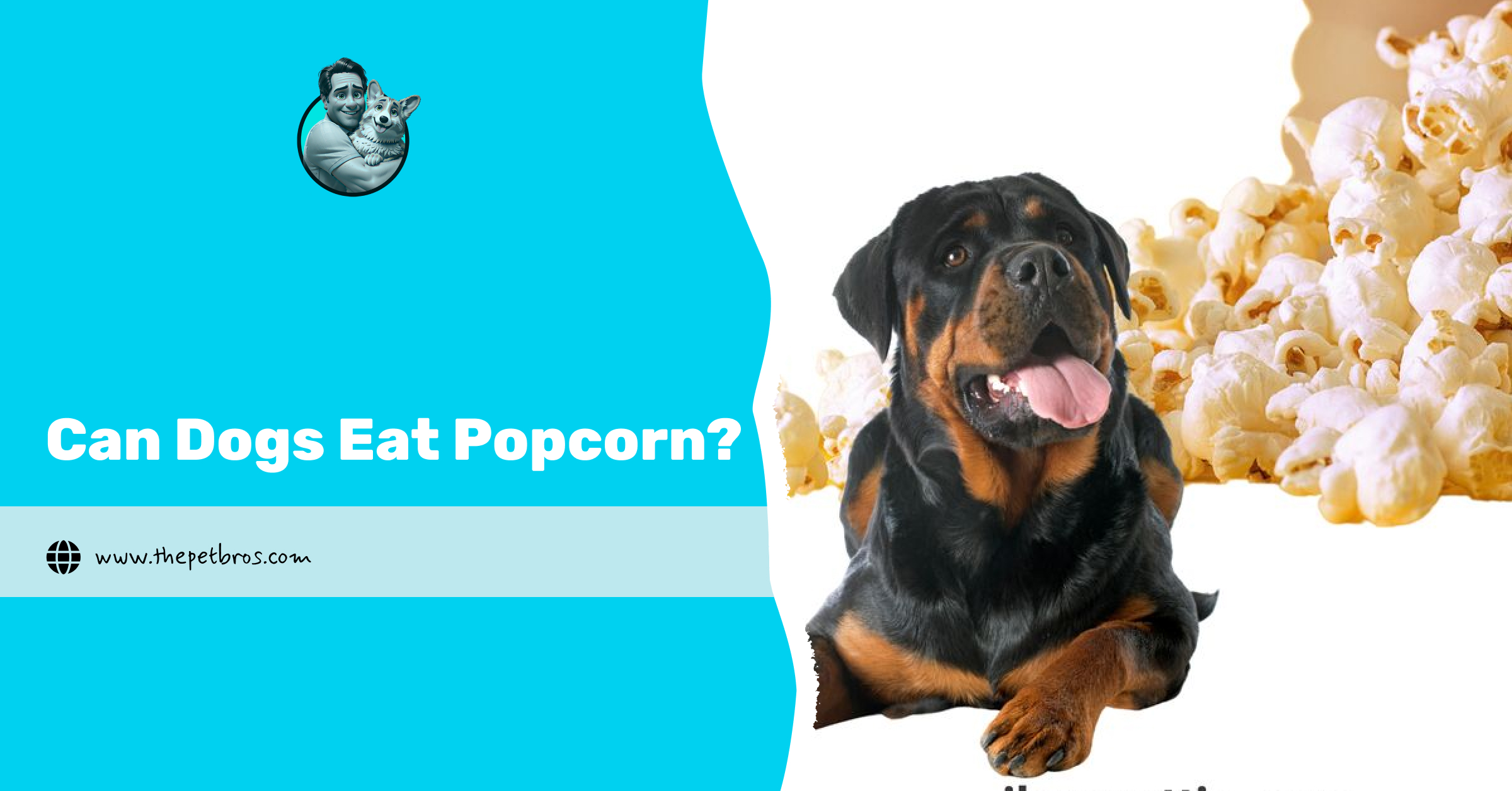 Can Dogs Eat Popcorn? What Every Dog Parent Should Know