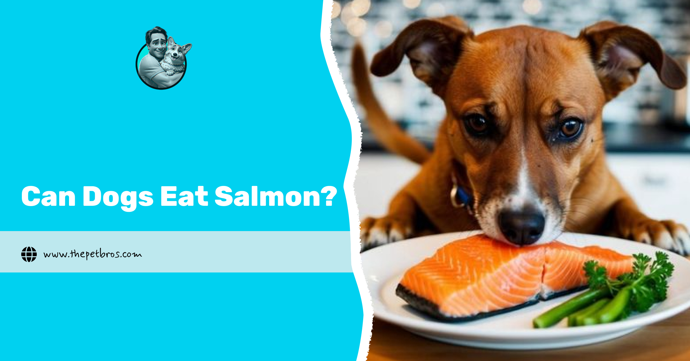 Can Dogs Eat Salmon? Is It Safe For Your Dog?
