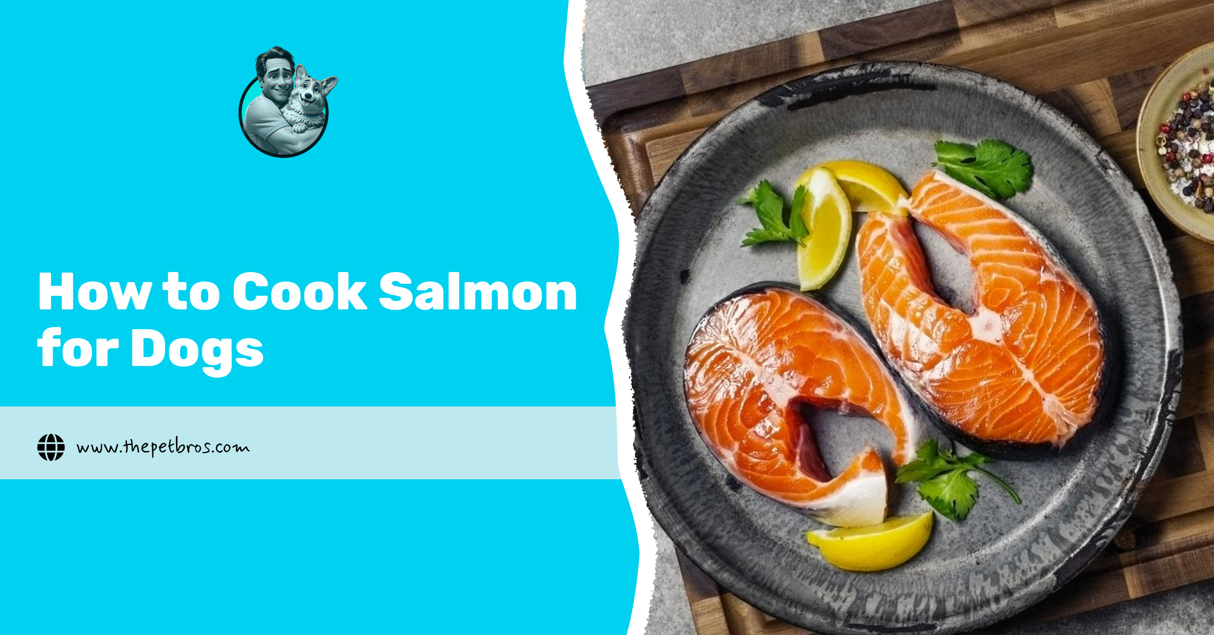 How to Cook Salmon for Dogs: A step-by-step guide Guide
