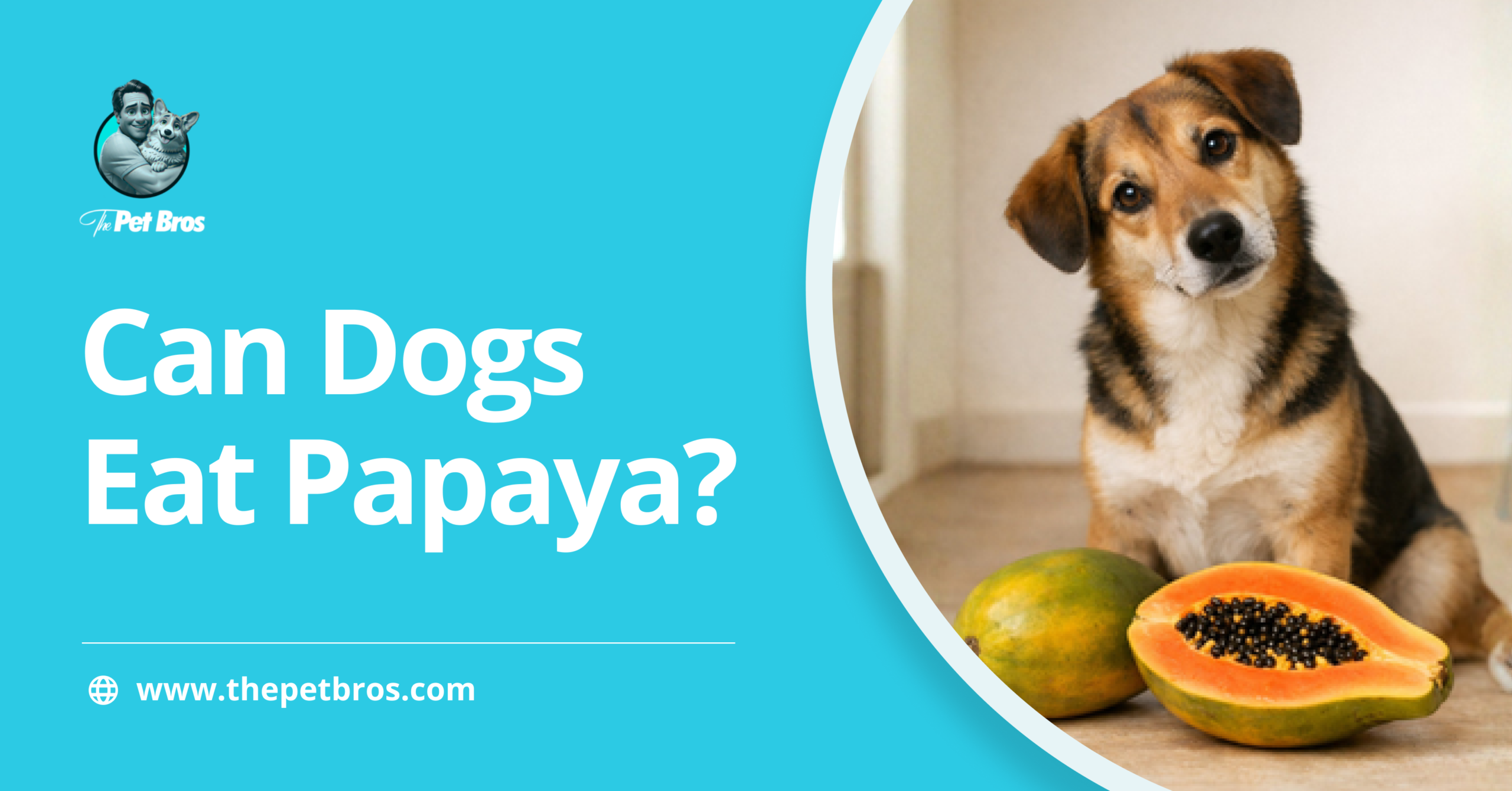 Can Dogs Eat Papaya? What Dog Owners Should Know