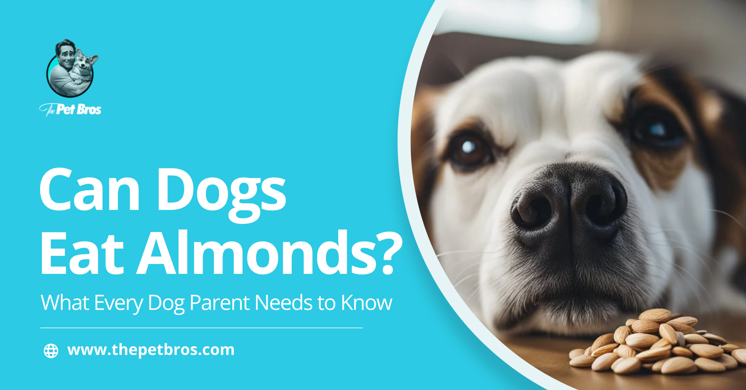 Can Dogs Eat Almonds