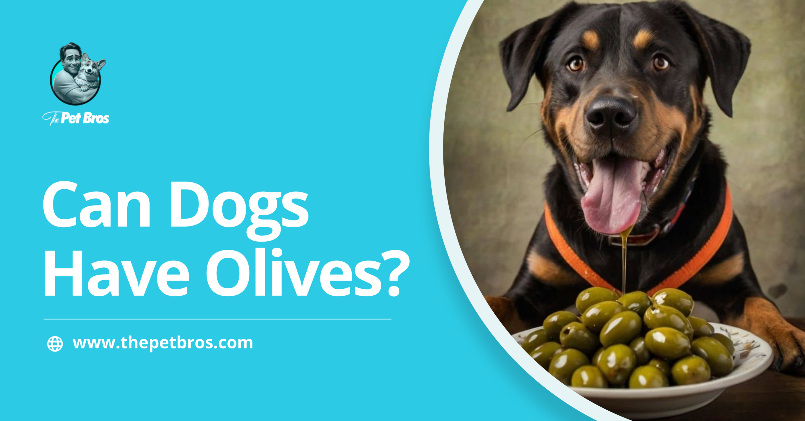 Can Dogs Have Olives