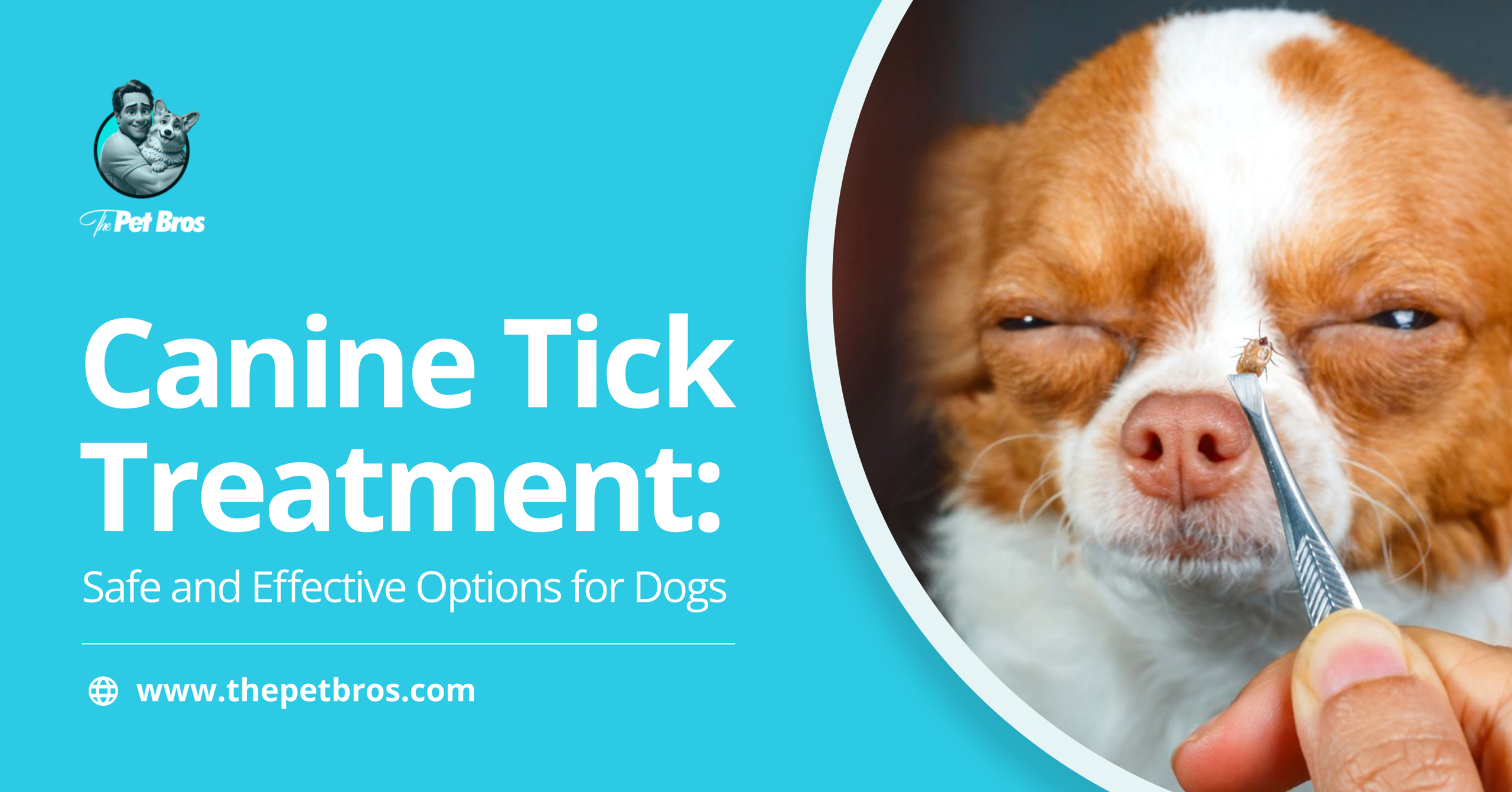 Canine Tick Treatment