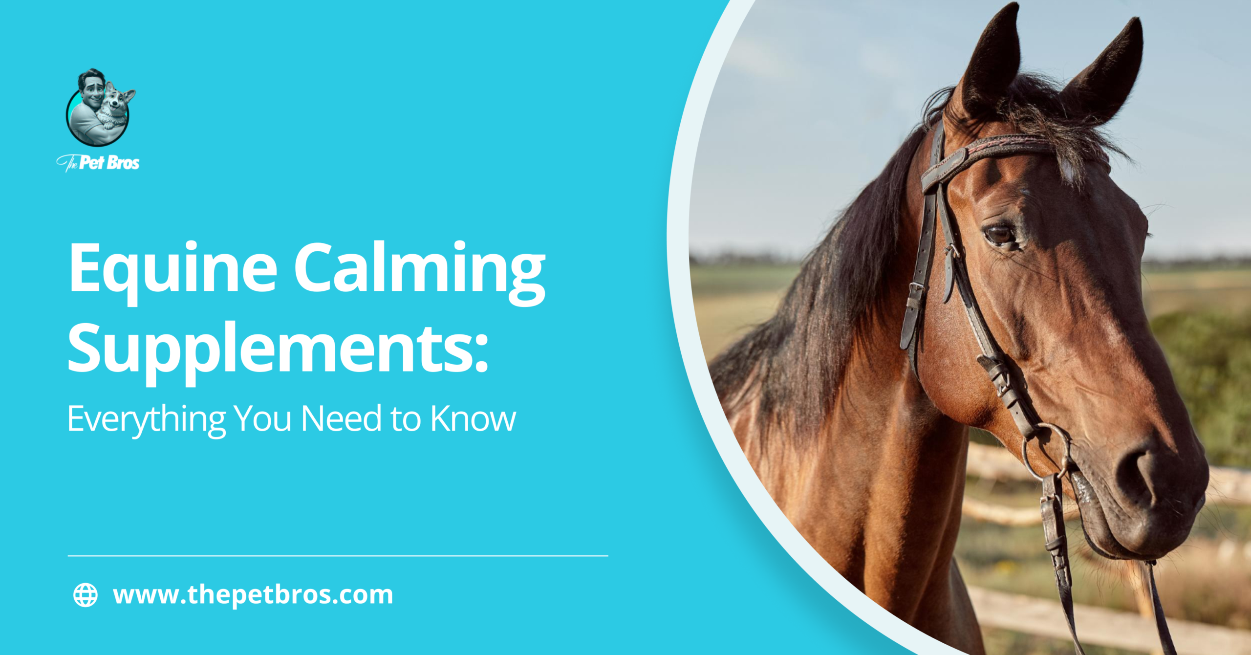 Equine Calming Supplements: Everything You Need to Know
