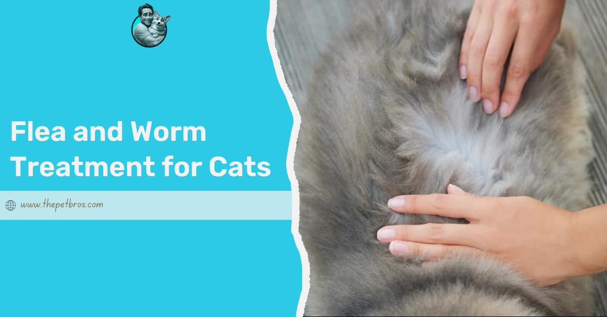 Flea and Worm Treatment for Cats: What Works Best