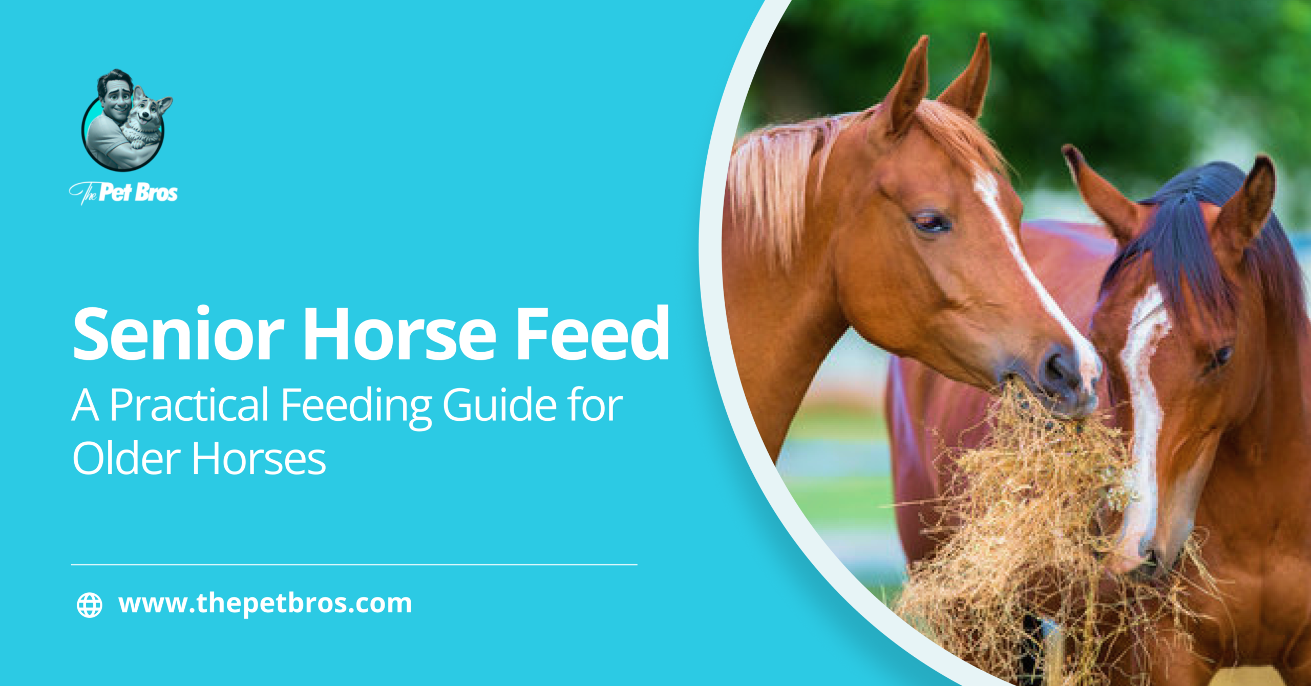 Senior Horse Feed