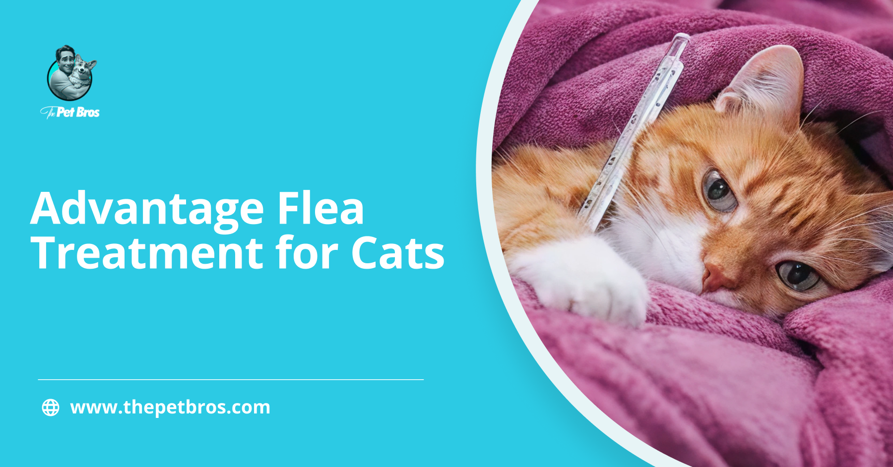Advantage Flea Treatment for Cats: A Complete Guide