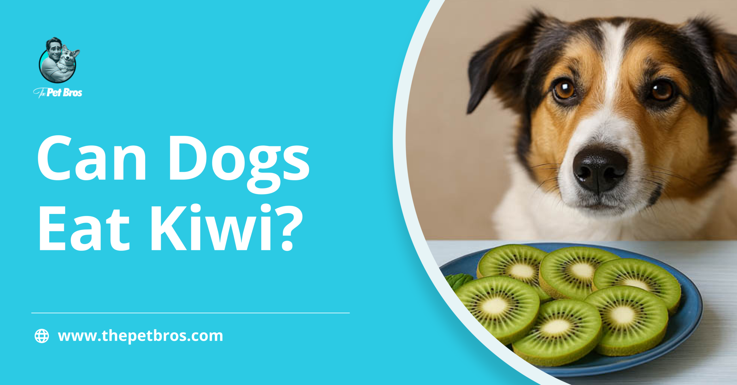 Can Dogs Eat Kiwi? All You Need To Know About Kiwi