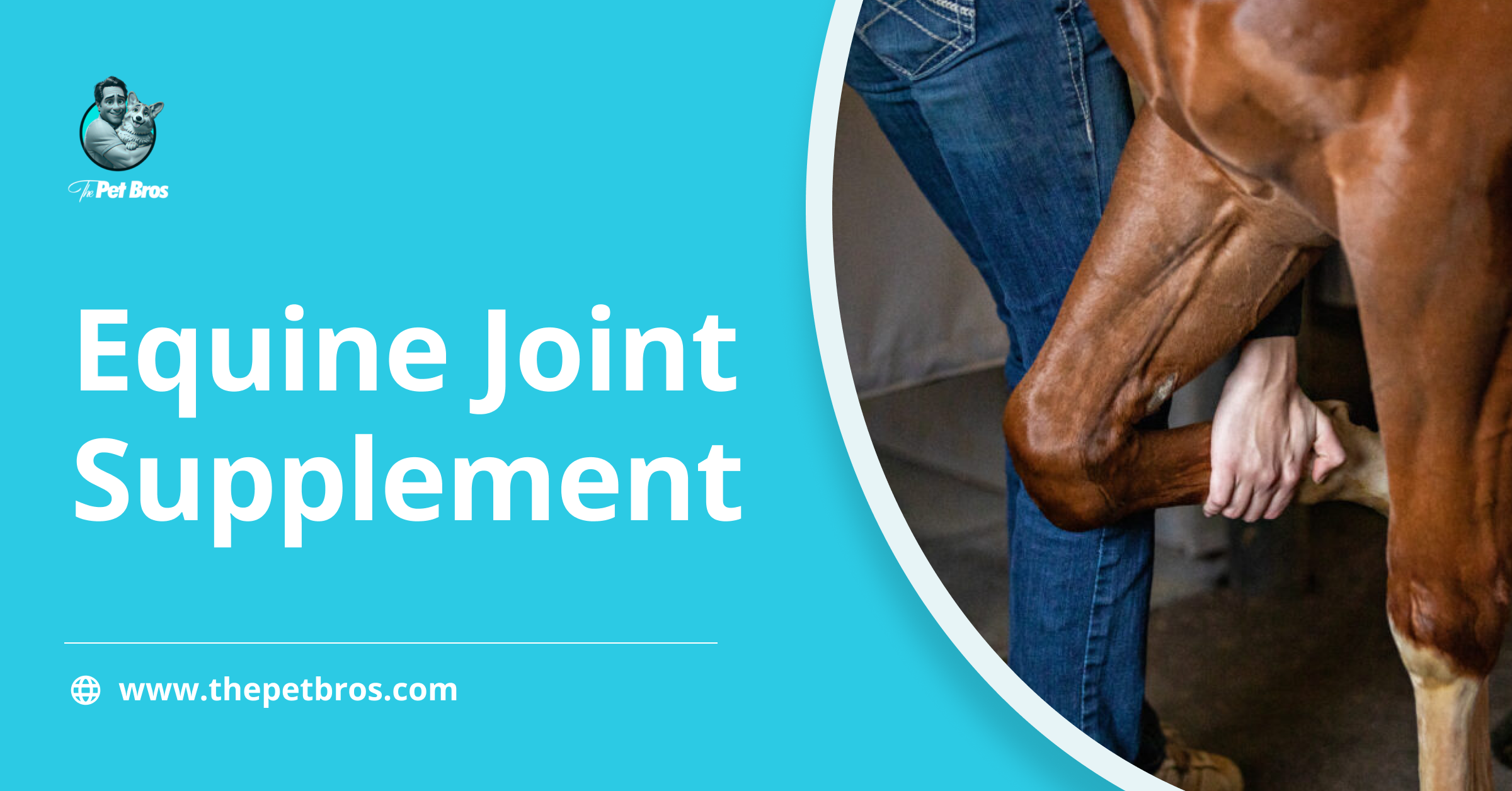 Equine Joint Supplement: What Horse Owners Need To Know