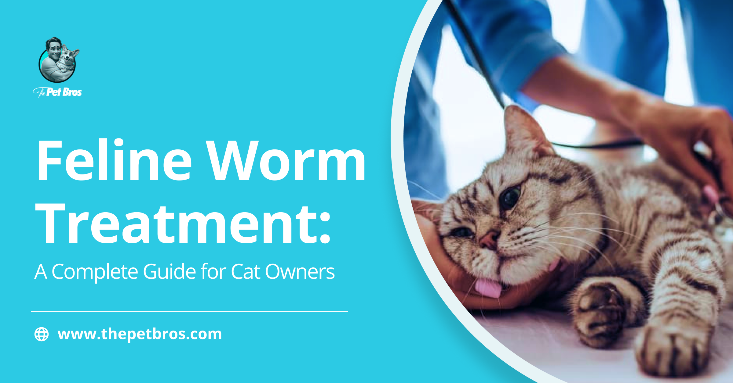 Feline Worm Treatment: A Complete Guide for Cat Owners