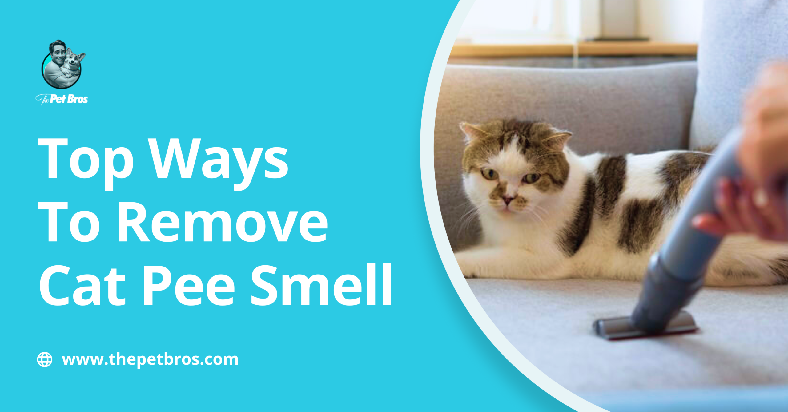 Remove cat pee smell