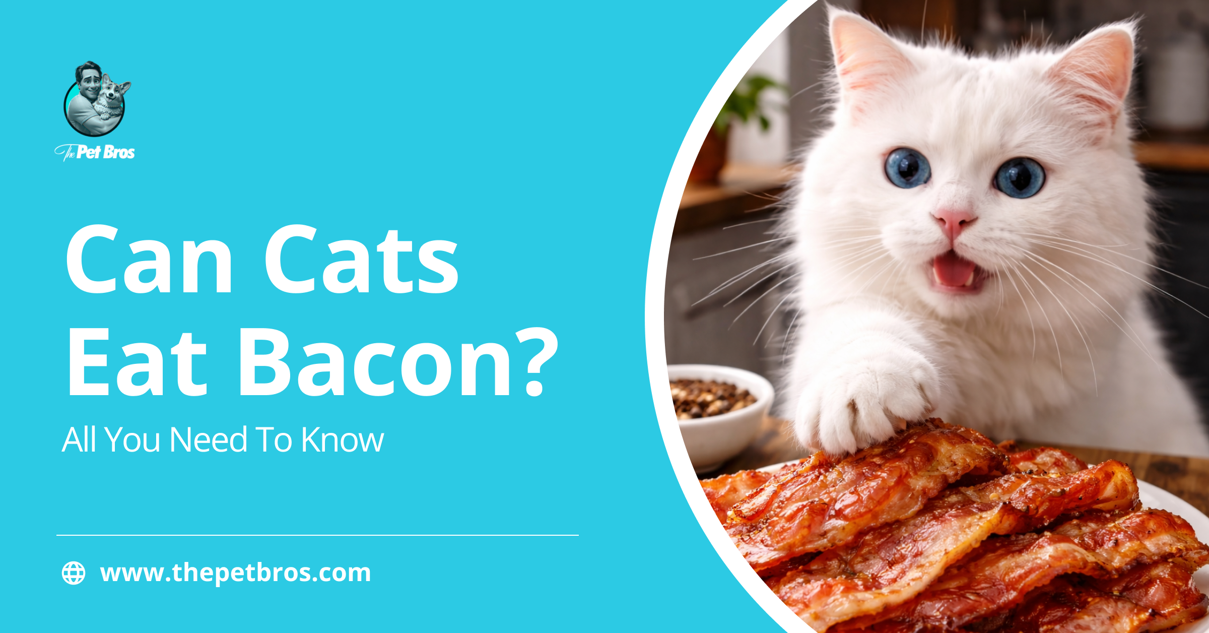 Can Cats Eat Bacon? All You Need To Know