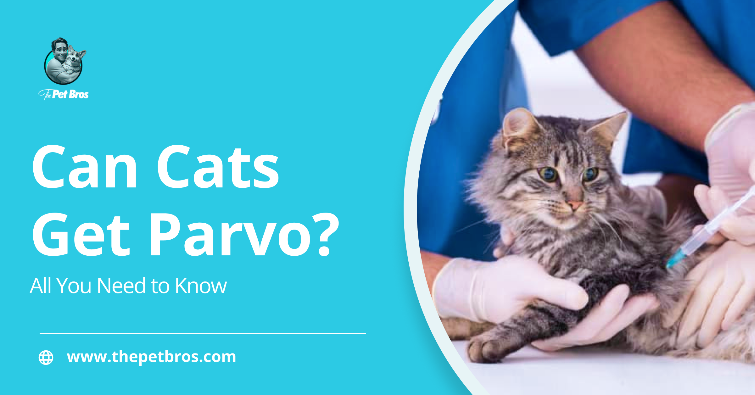 Can Cats Get Parvo