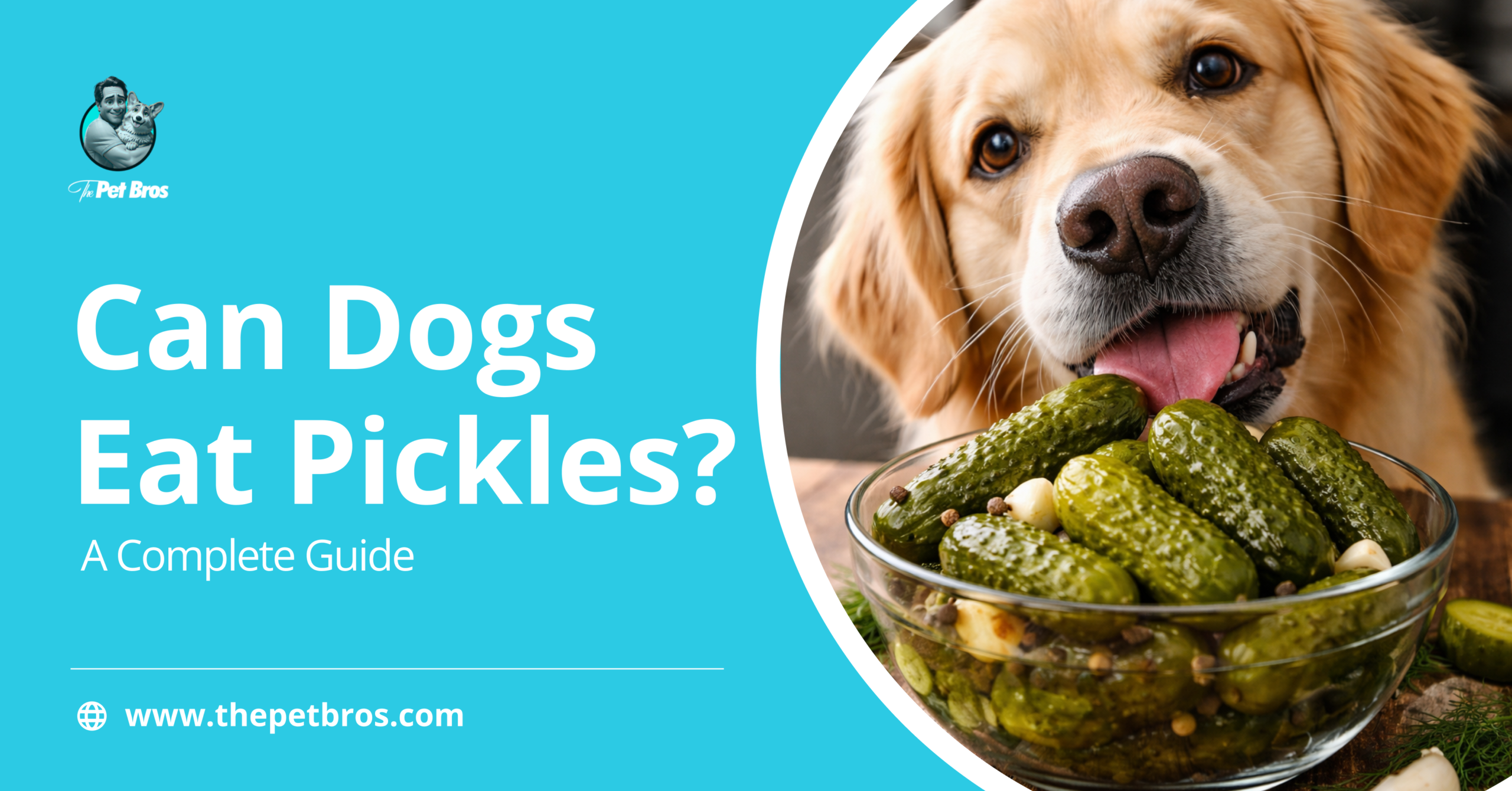 Can Dogs Eat Pickles?