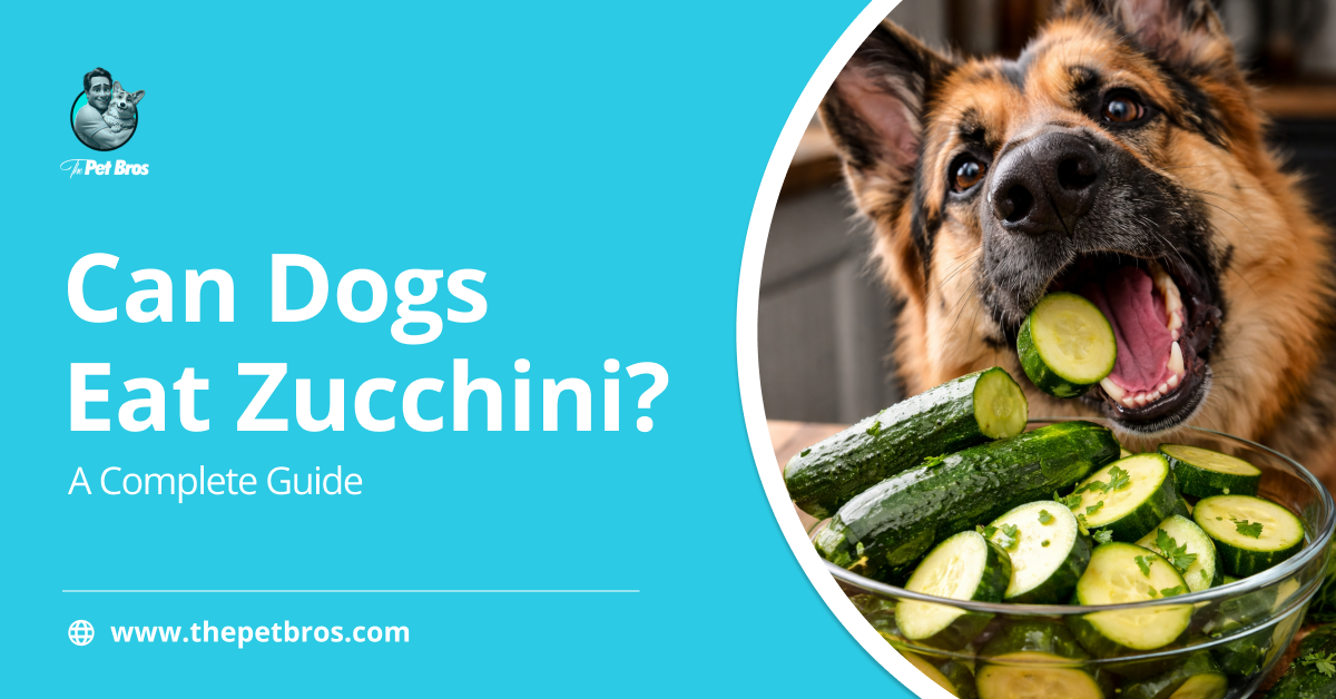 Can Dogs Eat Zucchinni