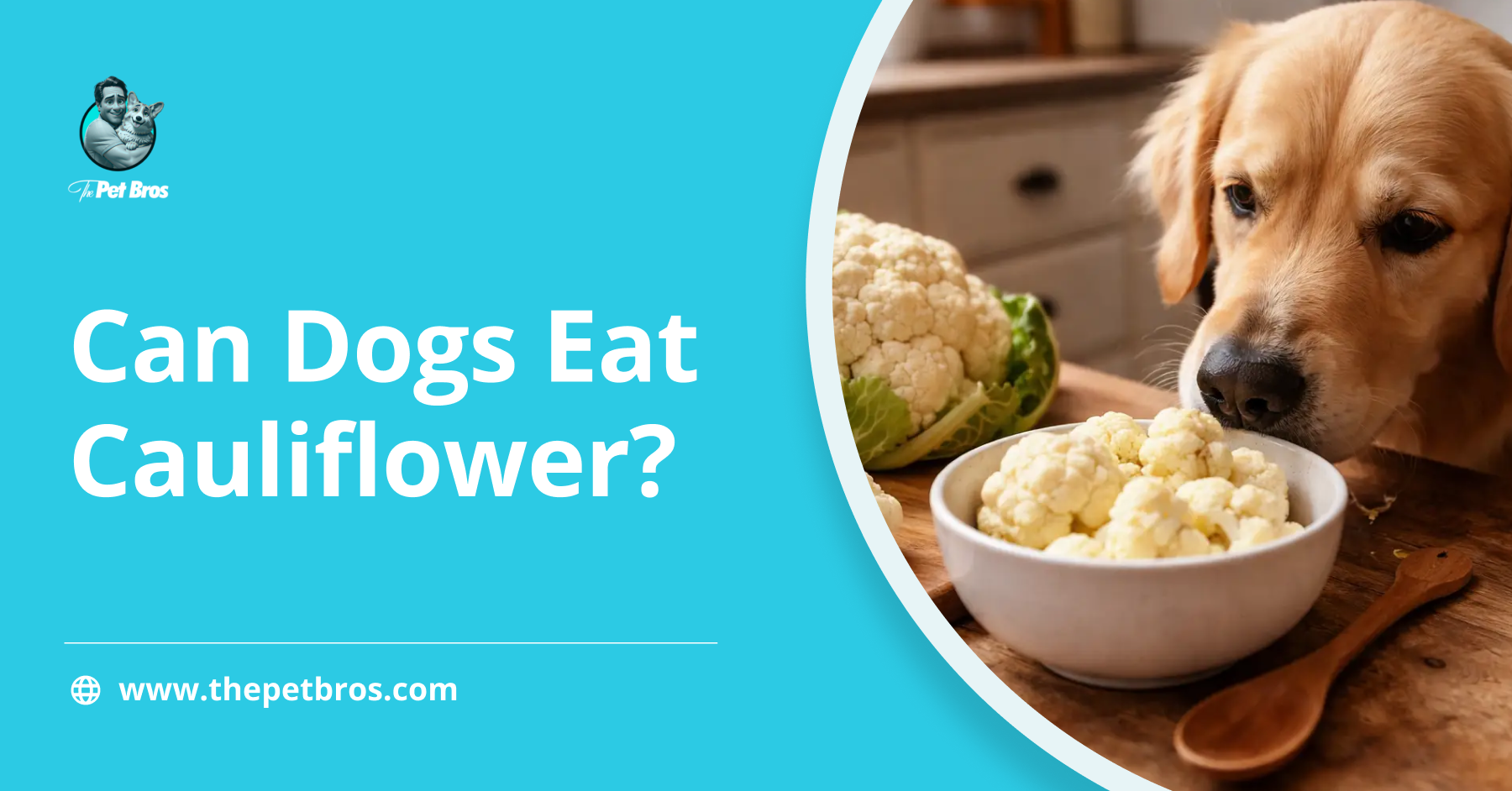 Can Dogs Eat Cauliflower? A Complete Guide for Pet Parents