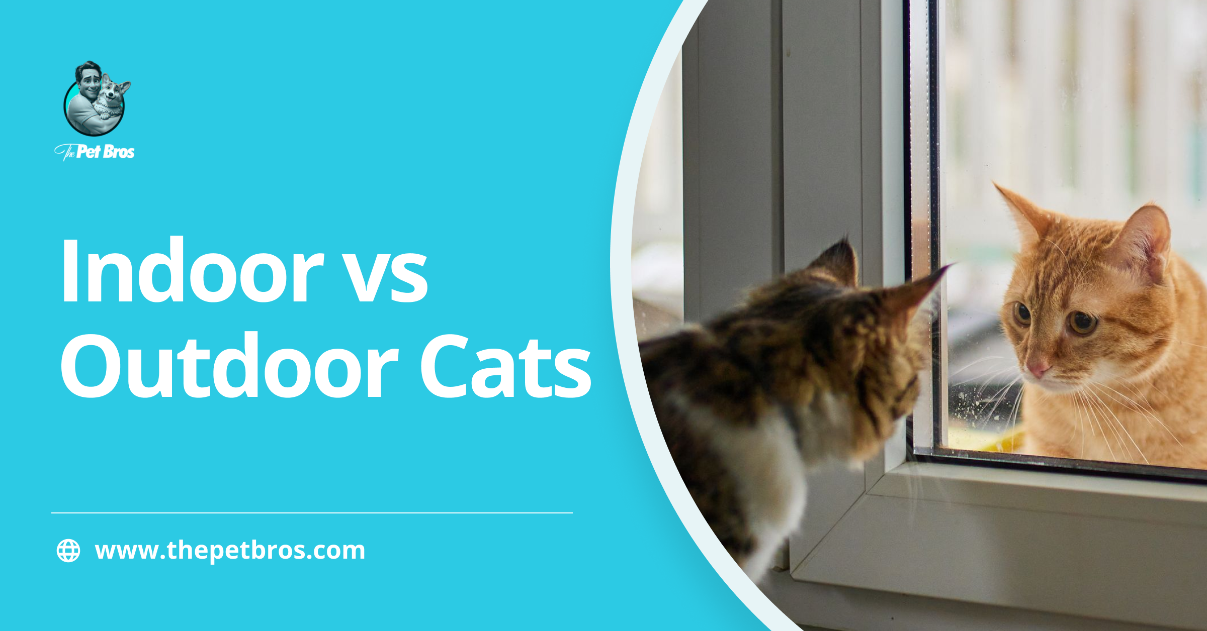 Indoor vs Outdoor Cats: Which Is Better for Your Cat?