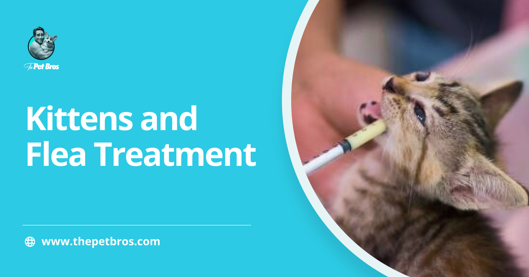 Kittens and Flea Treatment